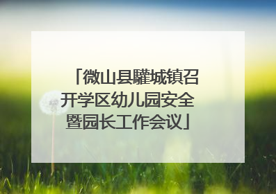 微山县驩城镇召开学区幼儿园安全暨园长工作会议