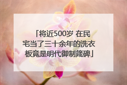 将近500岁 在民宅当了三十余年的洗衣板竟是明代御制箴碑