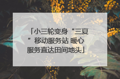 小三轮变身“三夏”移动服务站 暖心服务直达田间地头