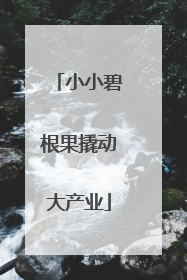 小小碧根果撬动大产业
