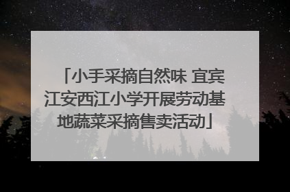 小手采摘自然味 宜宾江安西江小学开展劳动基地蔬菜采摘售卖活动