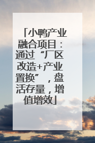 小鸭产业融合项目：通过“厂区改造+产业置换”，盘活存量，增值增效