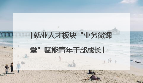 就业人才板块“业务微课堂”赋能青年干部成长