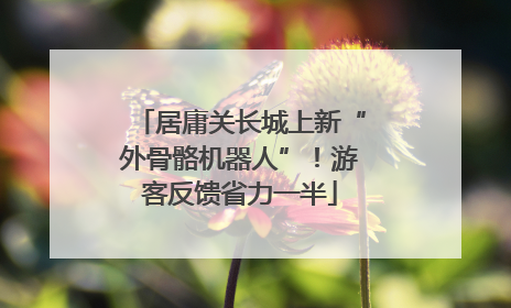 居庸关长城上新“外骨骼机器人”！游客反馈省力一半