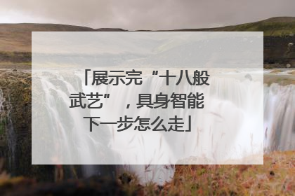 展示完“十八般武艺”，具身智能下一步怎么走