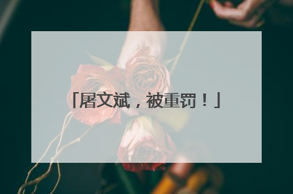 屠文斌，被重罚！