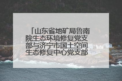 山东省地矿局鲁南院生态环境修复党支部与济宁市国土空间生态修复中心党支部联合开展全国“土地日”主题活动