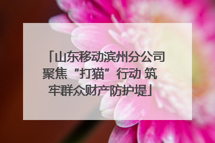 山东移动滨州分公司聚焦“打猫”行动 筑牢群众财产防护堤