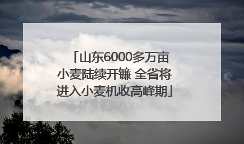 山东6000多万亩小麦陆续开镰 全省将进入小麦机收高峰期