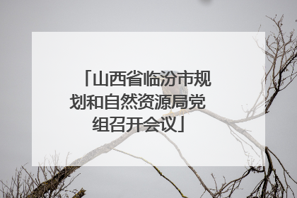 山西省临汾市规划和自然资源局党组召开会议
