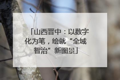 山西晋中：以数字化为笔，绘就“全域智治”新图景