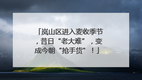 岚山区进入麦收季节，昔日“老大难”，变成今朝“抢手货”！