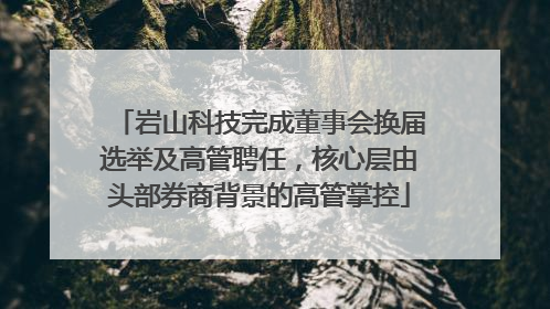 岩山科技完成董事会换届选举及高管聘任，核心层由头部券商背景的高管掌控