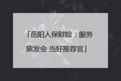 岳阳人保财险：服务旅发会 当好推荐官
