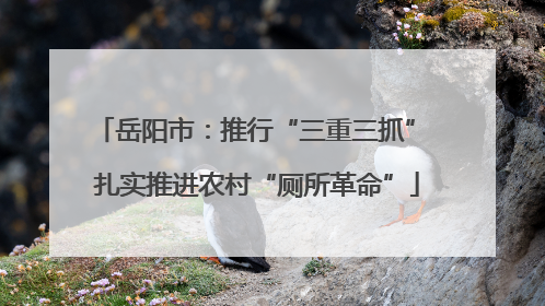 岳阳市：推行“三重三抓” 扎实推进农村“厕所革命”