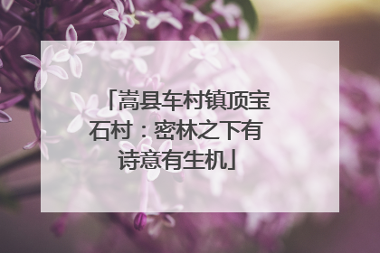 嵩县车村镇顶宝石村：密林之下有诗意有生机