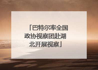 巴特尔率全国政协视察团赴湖北开展视察