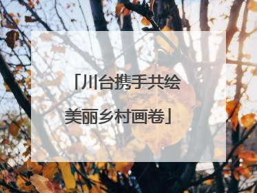 川台携手共绘美丽乡村画卷