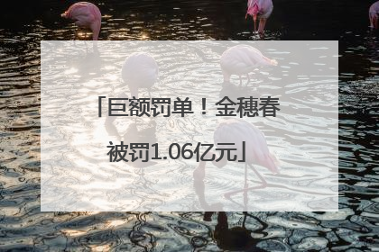 巨额罚单！金穗春被罚1.06亿元