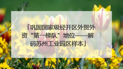 巩固国家级经开区外贸外资“第一梯队”地位——解码苏州工业园区样本