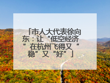 市人大代表徐向东：让“低空经济”在杭州飞得又“稳”又“好”