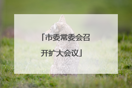 市委常委会召开扩大会议