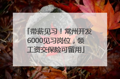 带薪见习！常州开发6000见习岗位，领工资交保险可留用
