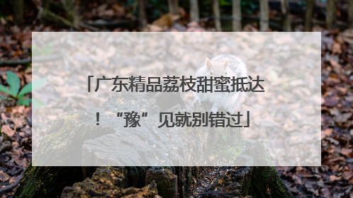 广东精品荔枝甜蜜抵达！“豫”见就别错过