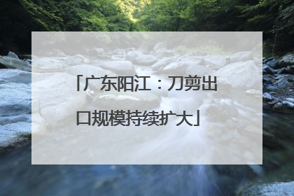广东阳江：刀剪出口规模持续扩大