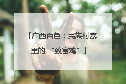 广西百色：民族村寨里的 “致富鸡”