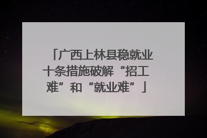 广西上林县稳就业十条措施破解“招工难”和“就业难”