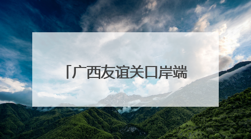 广西友谊关口岸端午通关“不打烊” 进口水果抢先机