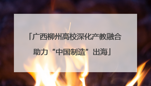 广西柳州高校深化产教融合 助力“中国制造”出海