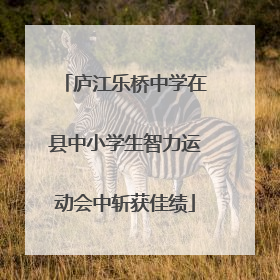 庐江乐桥中学在县中小学生智力运动会中斩获佳绩