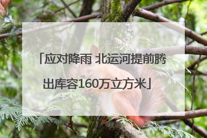 应对降雨 北运河提前腾出库容160万立方米