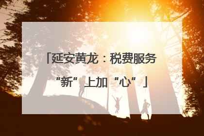 延安黄龙：税费服务“新”上加“心”