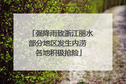强降雨致浙江丽水部分地区发生内涝 各地积极抢险