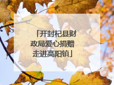 开封杞县财政局爱心捐赠走进高阳镇