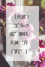 开波！“广东小花”期待天体“开门红”