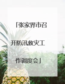 张家界市召开防汛救灾工作调度会