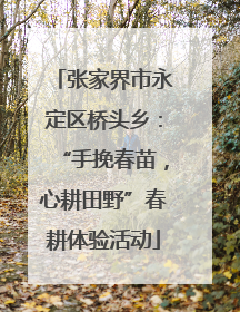 张家界市永定区桥头乡：“手挽春苗，心耕田野”春耕体验活动