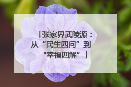 张家界武陵源：从“民生四问”到“幸福四解”