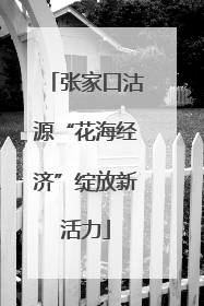 张家口沽源“花海经济”绽放新活力