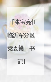 张宝亮任临沂军分区党委第一书记