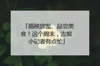 插秧放蟹、品尝美食！这个周末，吉报小记者有点忙