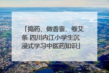 捣药、做香囊、卷艾条 四川内江小学生沉浸式学习中医药知识