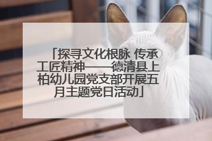 探寻文化根脉 传承工匠精神——德清县上柏幼儿园党支部开展五月主题党日活动