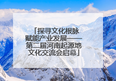 探寻文化根脉 赋能产业发展——第二届河南起源地文化交流会启幕