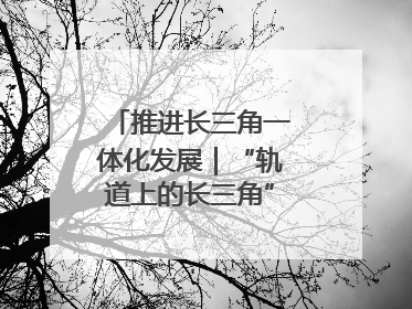 推进长三角一体化发展｜“轨道上的长三角”今年基本建成