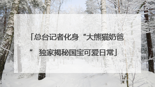 总台记者化身“大熊猫奶爸” 独家揭秘国宝可爱日常